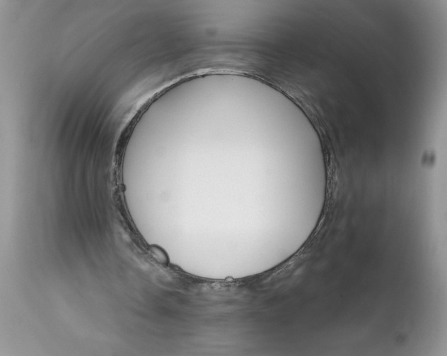 X0000111800338200907301214