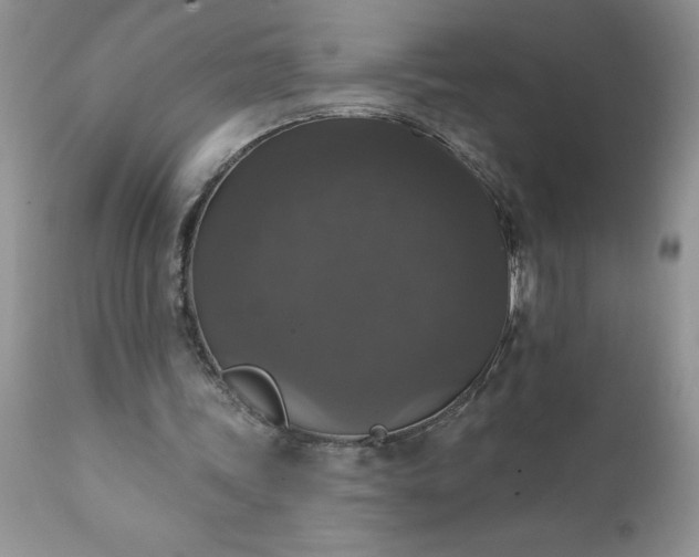 X0000111800339200907301214