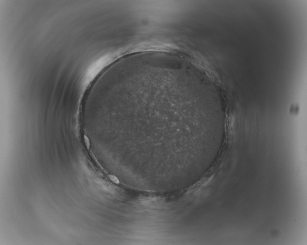 X0000111800340200907301214