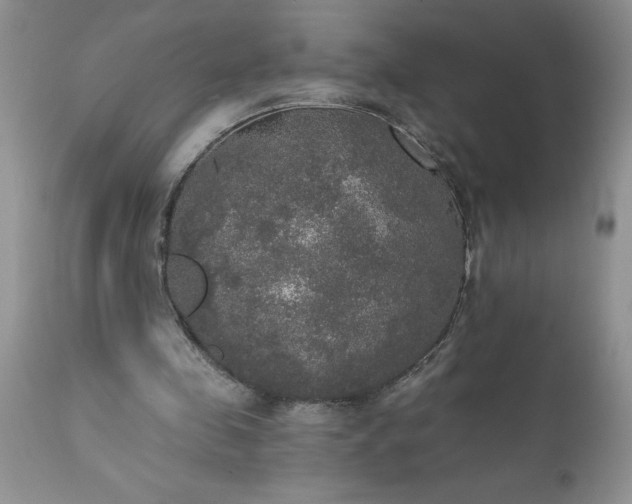 X0000111800341200907301214