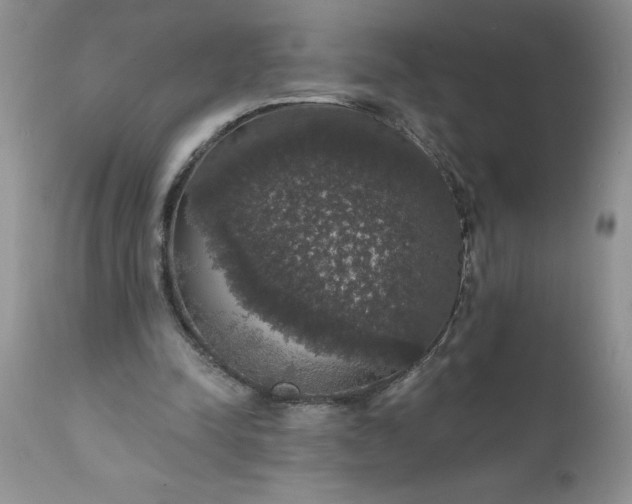 X0000111800342200907301215