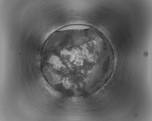 X0000111800345200907301215