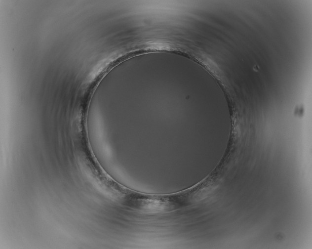 X0000111800347200907301215