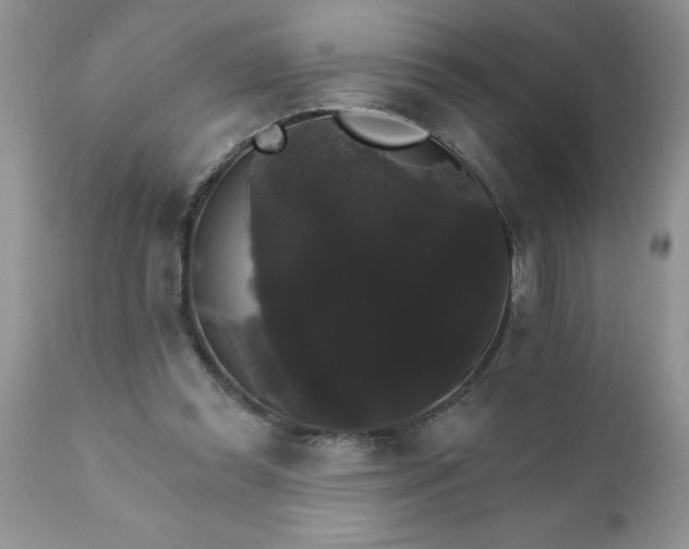 X0000111800349200907301215