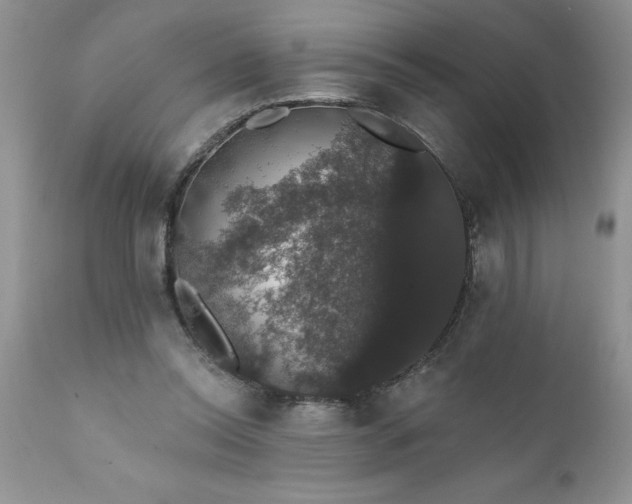 X0000111800350200907301215
