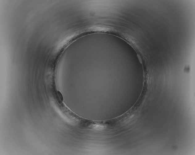X0000111800352200907301215