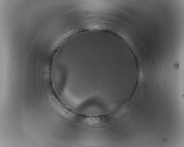 X0000111800353200907301215