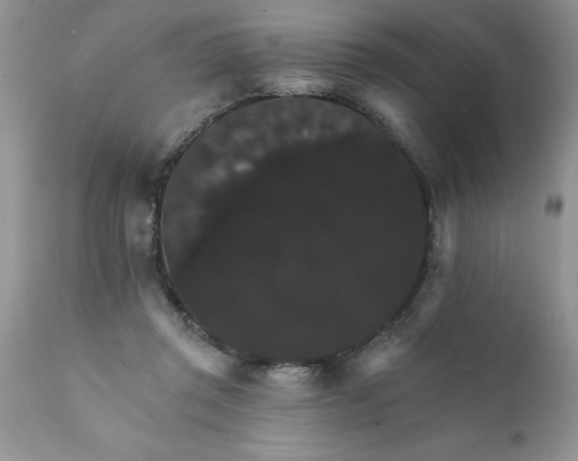 X0000111800357200907301215