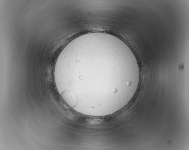 X0000111800359200907301215