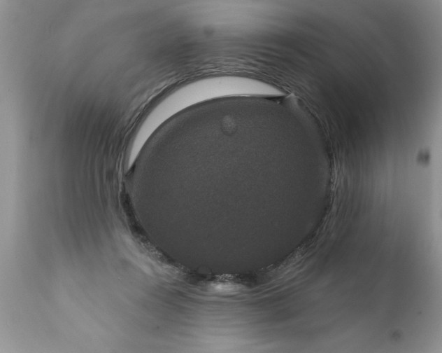 X0000111800360200907301215