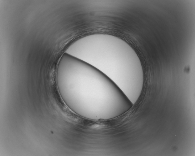 X0000111800364200907301215