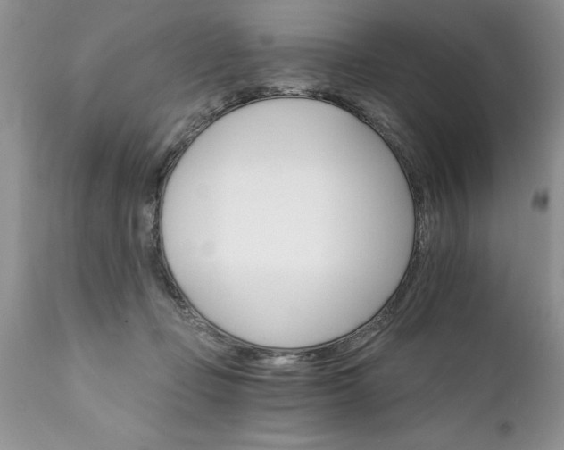 X0000111800365200907301215