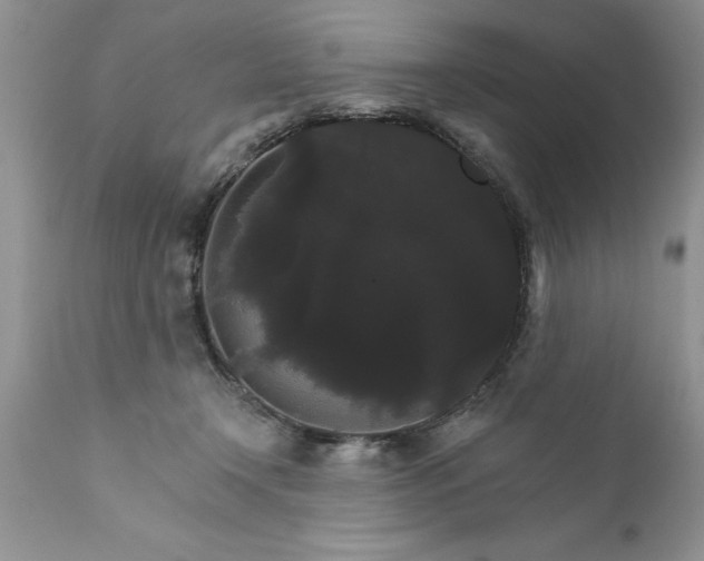 X0000111800366200907301215