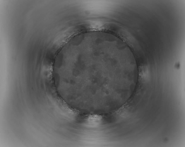 X0000111800369200907301215