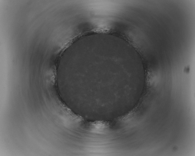 X0000111800370200907301215