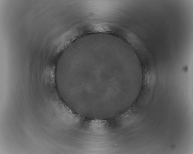 X0000111800373200907301215