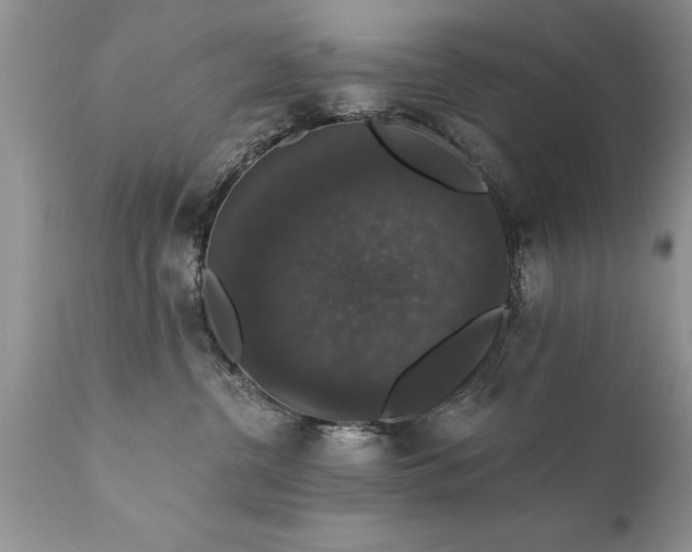 X0000111800380200907301215