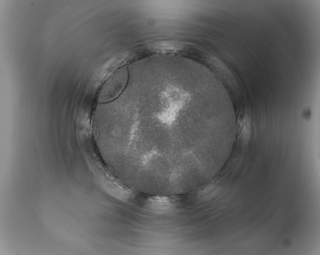 X0000111800381200907301215