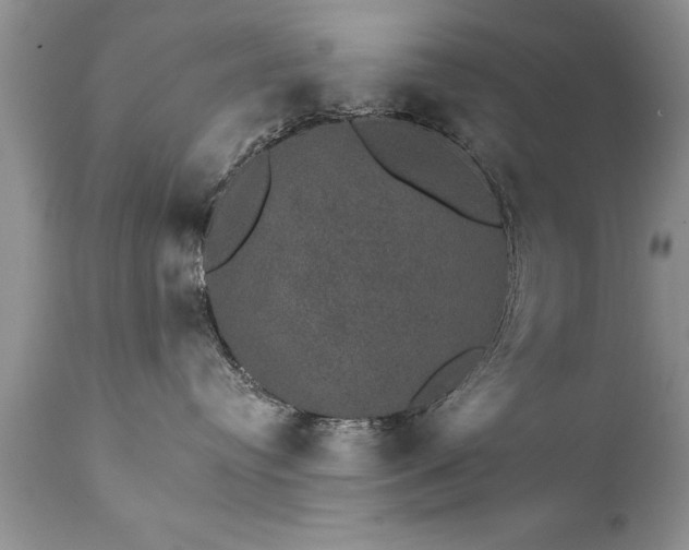 X0000111800384200907301215