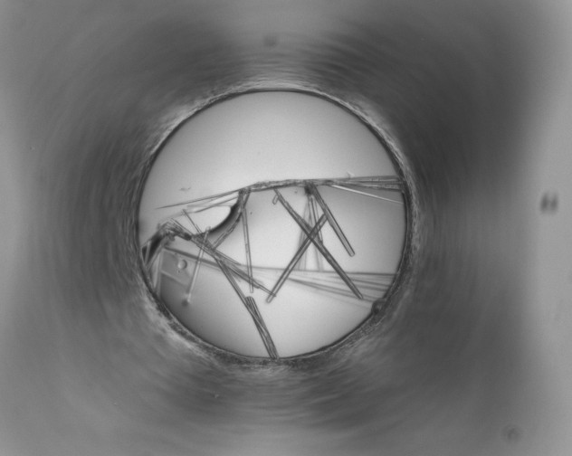X0000111800385200907301214