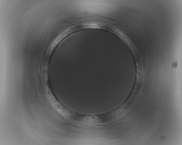 X0000111800386200907301214