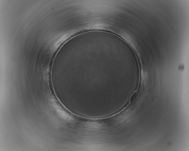 X0000111800389200907301214