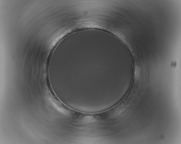X0000111800390200907301214