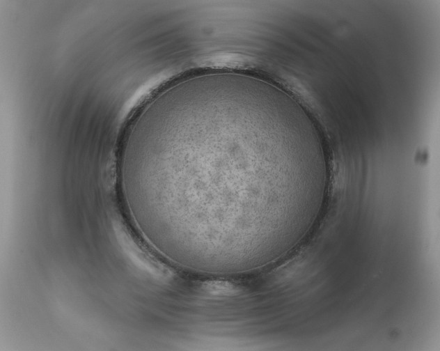X0000111800392200907301214