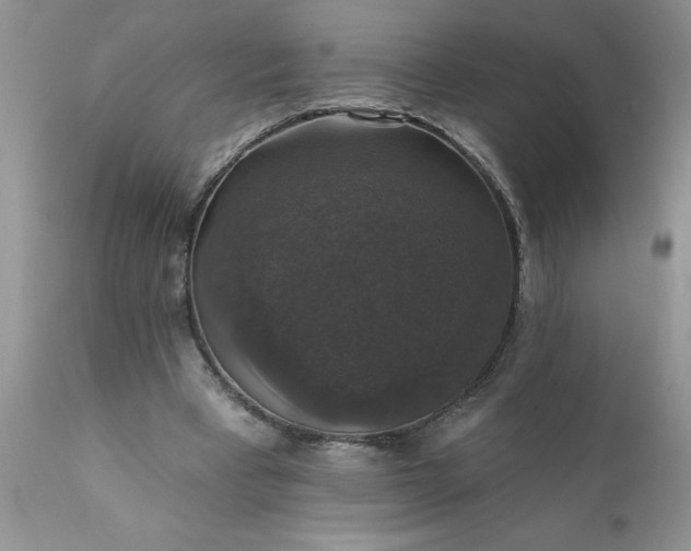 X0000111800393200907301214