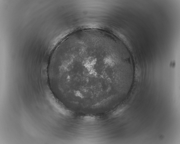 X0000111800394200907301214