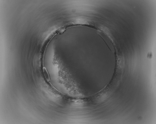X0000111800395200907301214