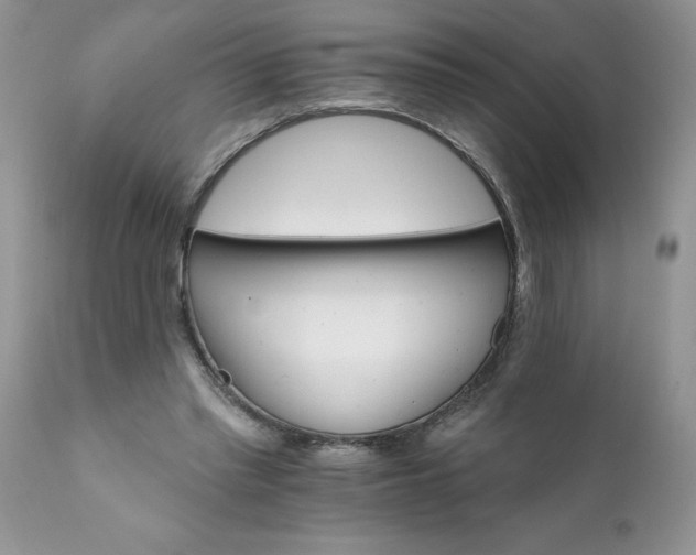 X0000111800397200907301214