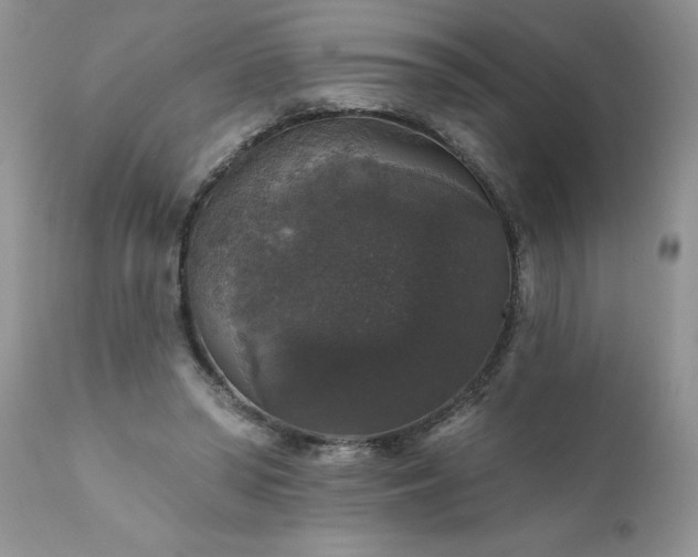 X0000111800398200907301214