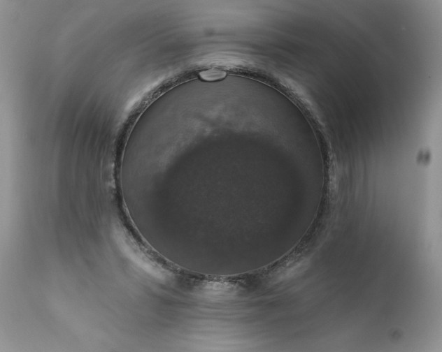 X0000111800399200907301214
