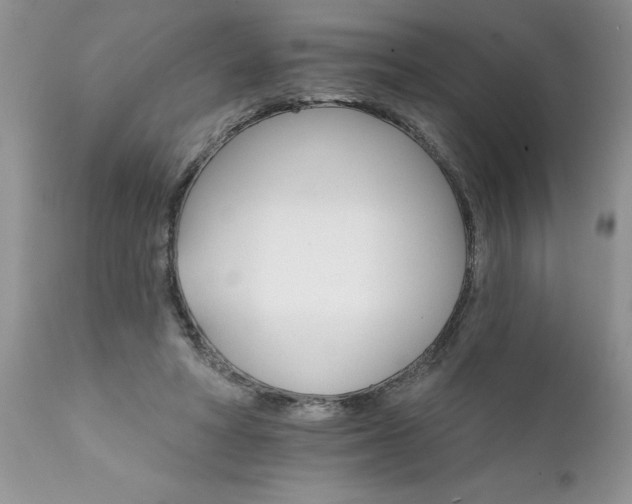 X0000111800402200907301214