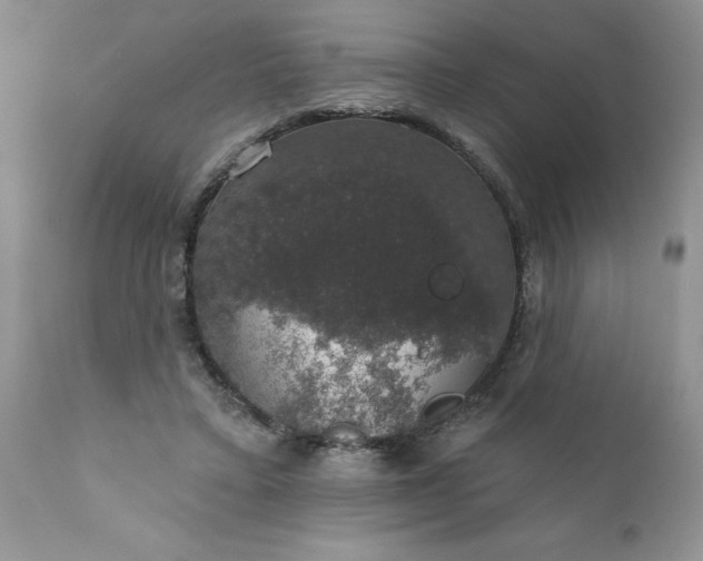 X0000111800403200907301214