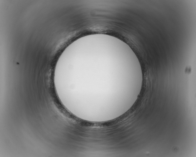 X0000111800404200907301214