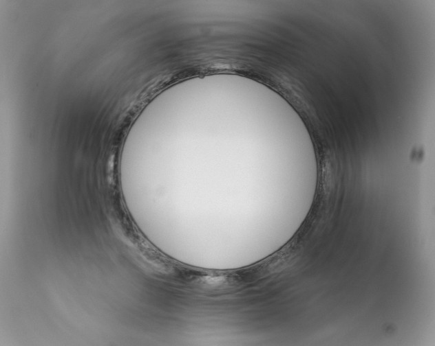 X0000111800406200907301214