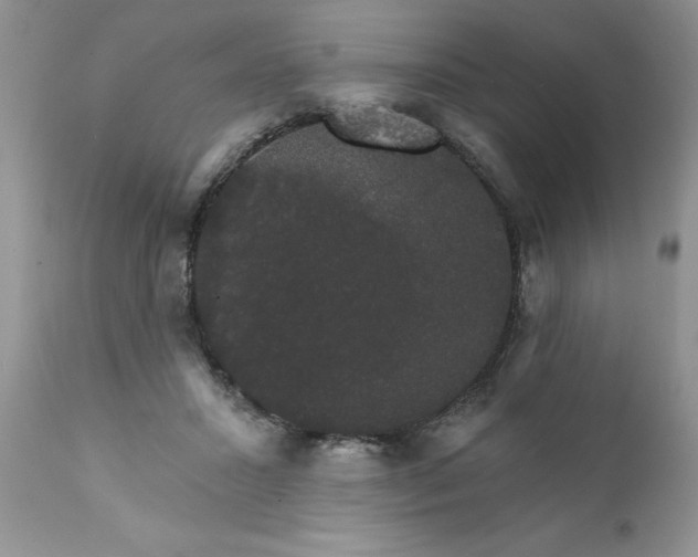 X0000111800407200907301214