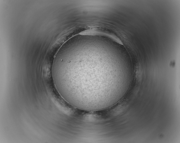 X0000111800408200907301214