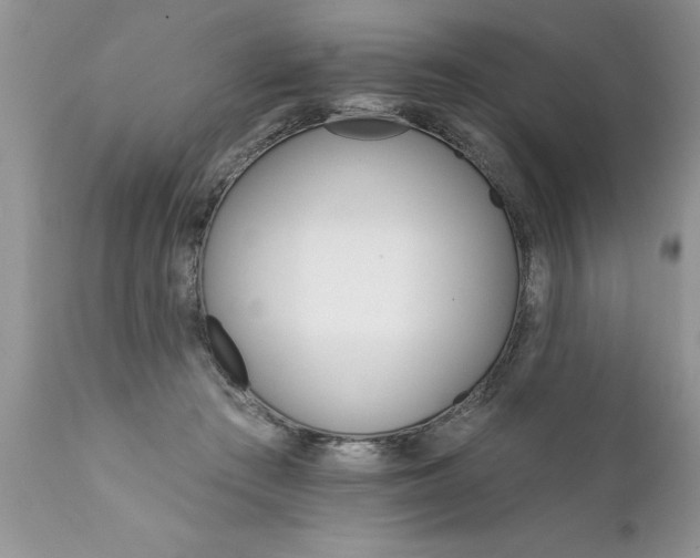 X0000111800409200907301214