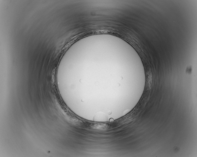 X0000111800410200907301214