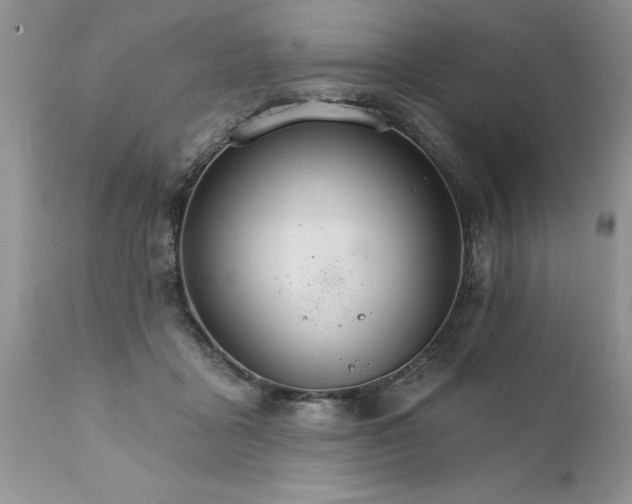 X0000111800411200907301214