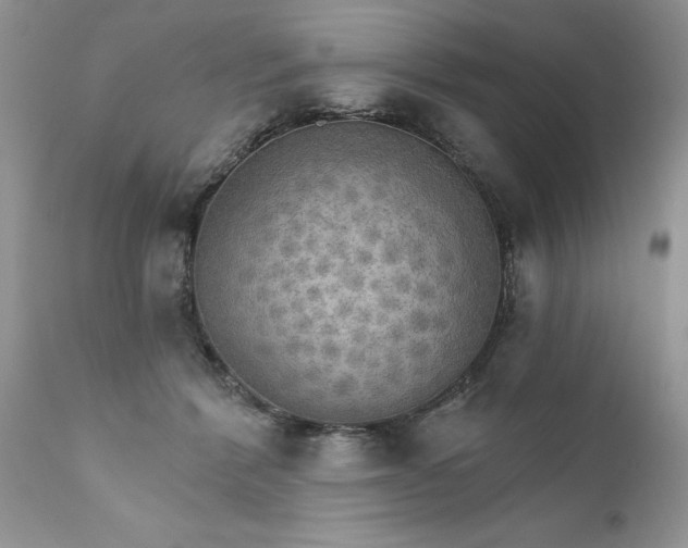 X0000111800412200907301214