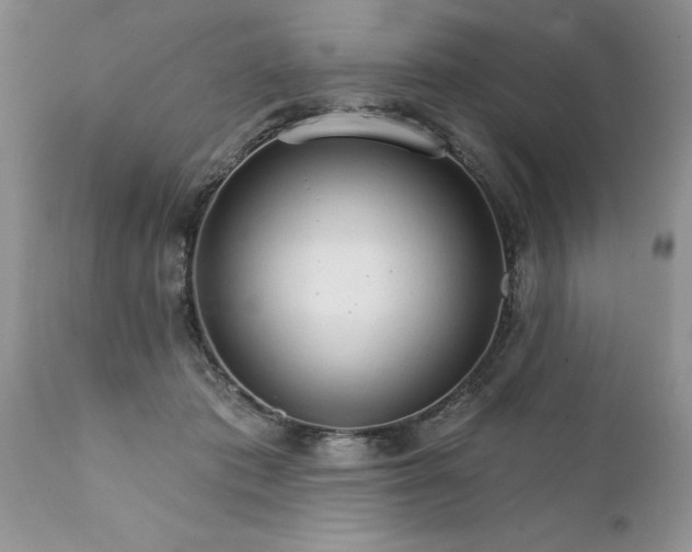 X0000111800413200907301214