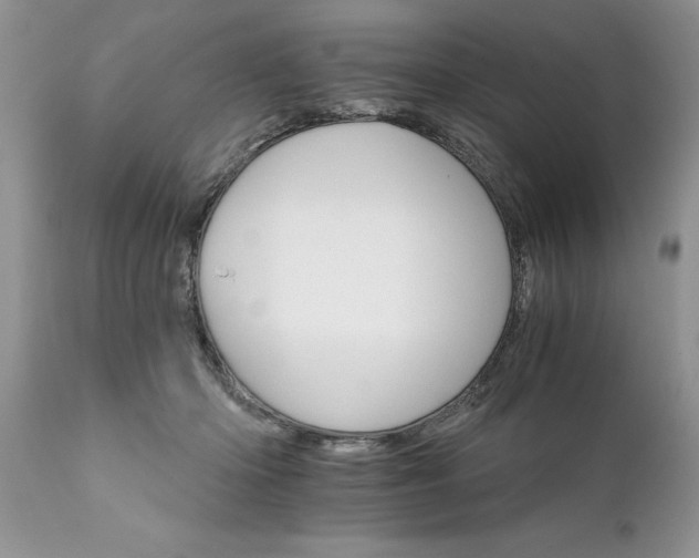 X0000111800414200907301214