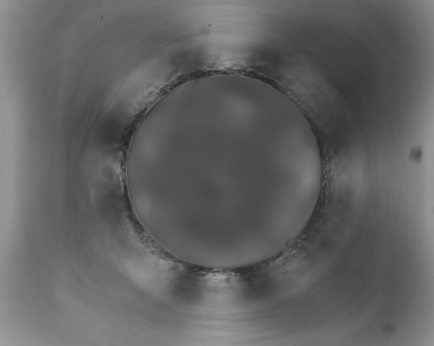 X0000111800415200907301214