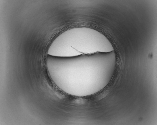 X0000111800416200907301214