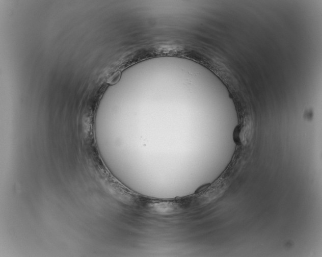 X0000111800417200907301214