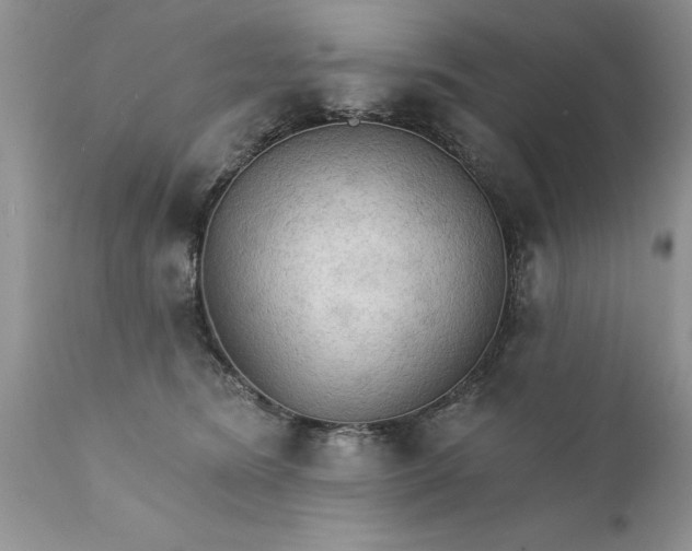 X0000111800420200907301214